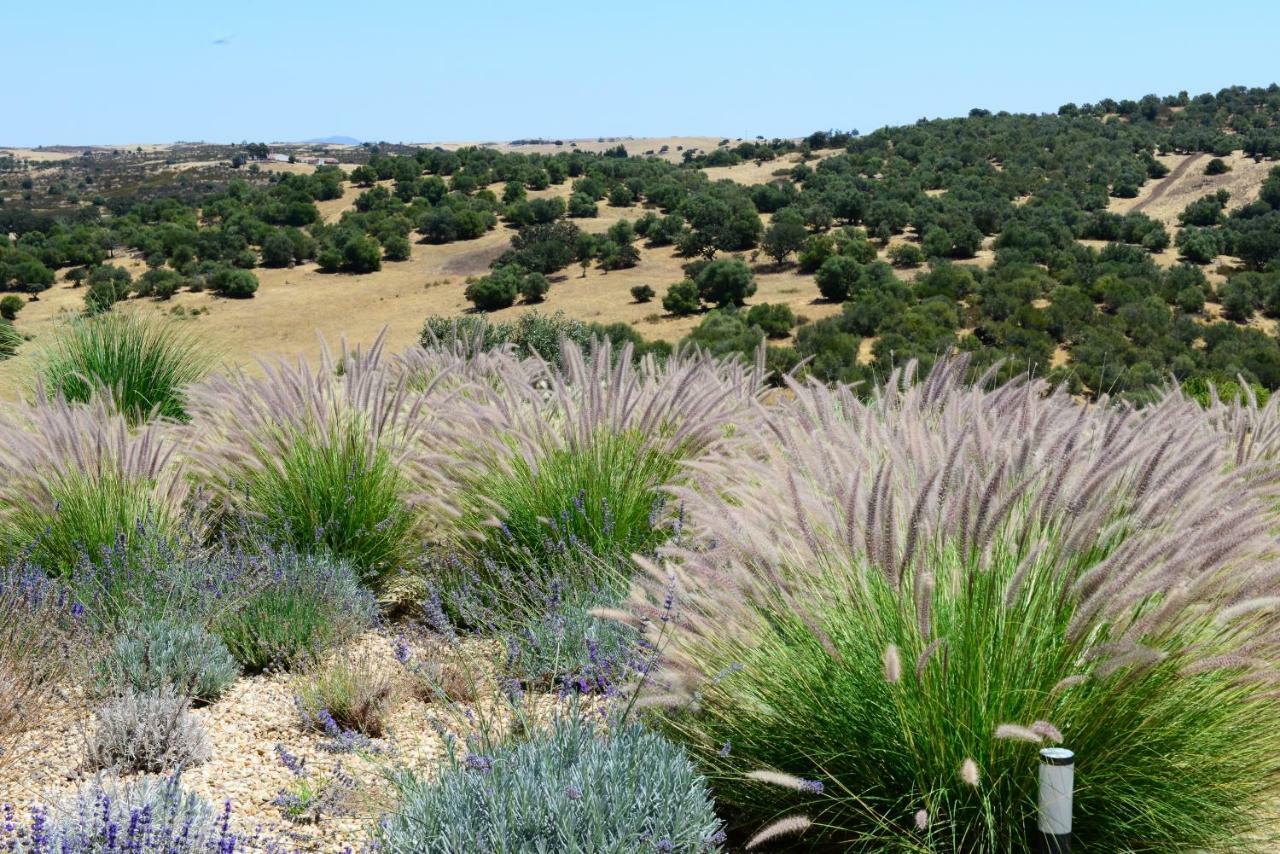 Vistas - Herdade Do Zambujal كاسترو فيردي المظهر الخارجي الصورة